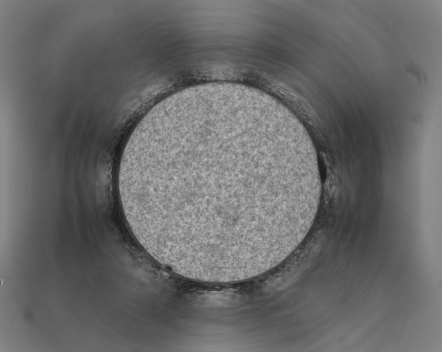 X0000112410306200909110955
