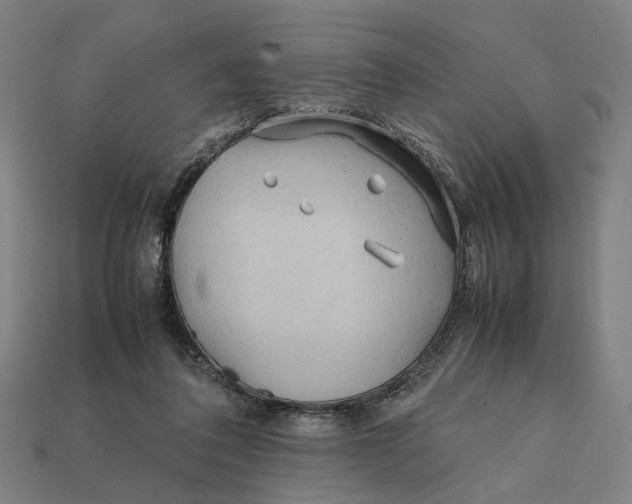 X0000112410308200909110955