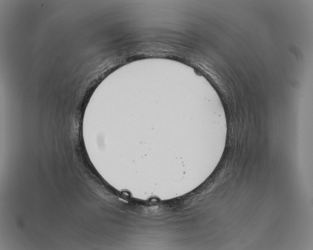 X0000112410309200909110955