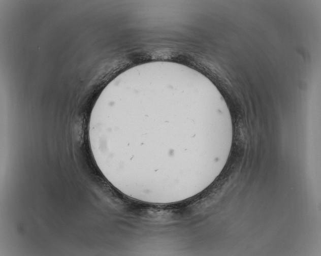 X0000112410311200909110955