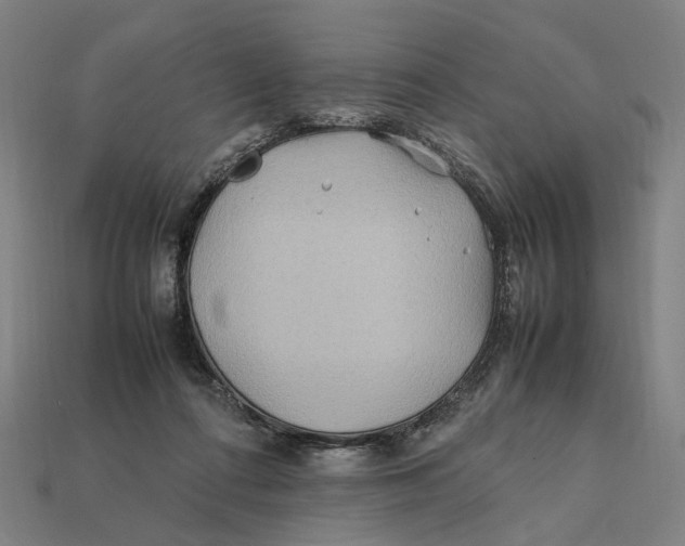 X0000112410312200909110955
