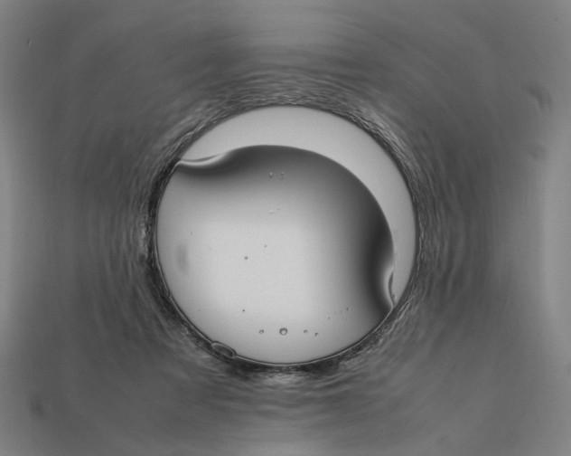 X0000112410313200909110955