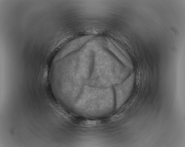 X0000112410314200909110955