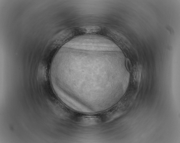 X0000112410316200909110955