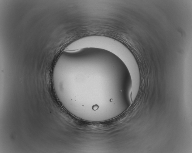 X0000112410317200909110955