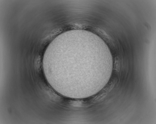 X0000112410318200909110955