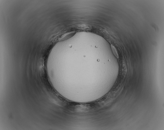 X0000112410320200909110955