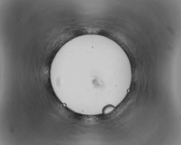 X0000112410321200909110955