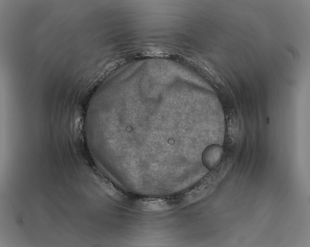 X0000112410322200909110955