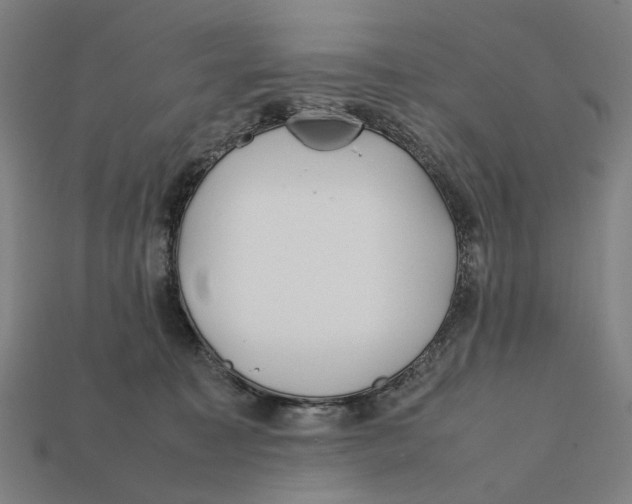 X0000112410323200909110955