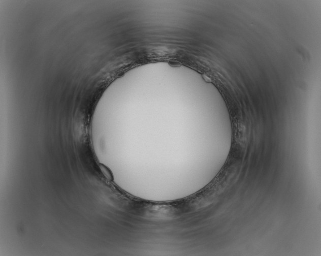 X0000112410324200909110955