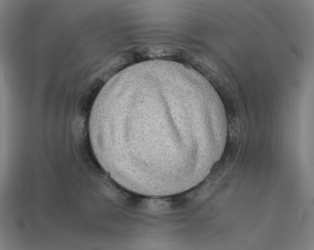 X0000112410327200909110955