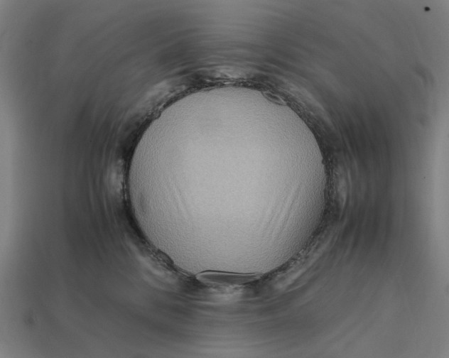 X0000112410328200909110955