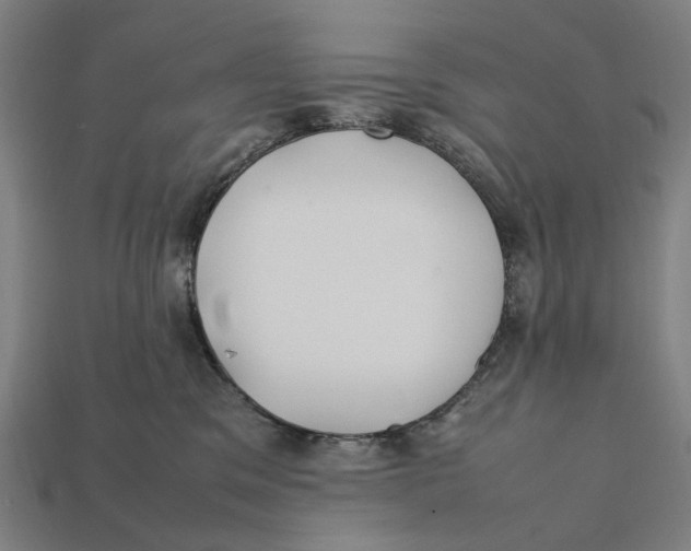 X0000112410329200909110955