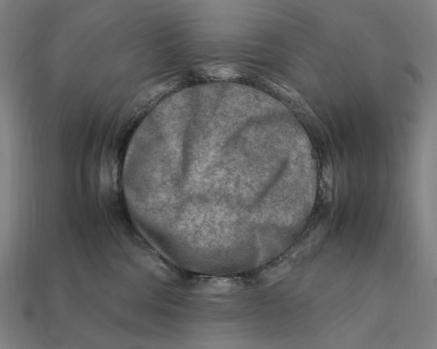 X0000112410330200909110955