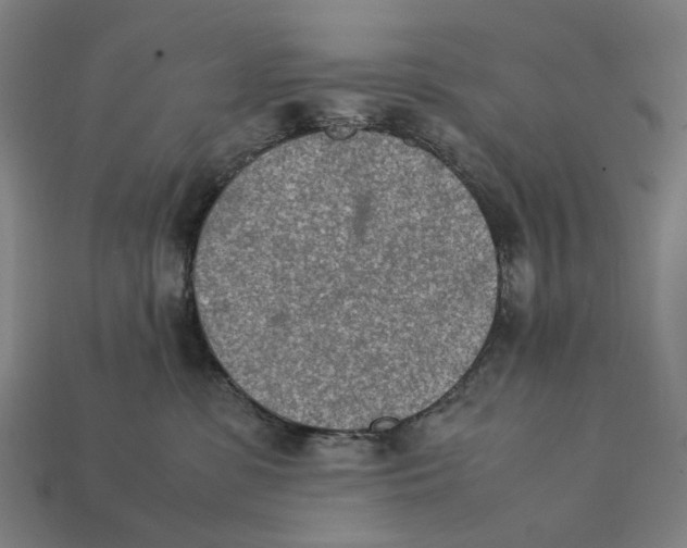 X0000112410331200909110955