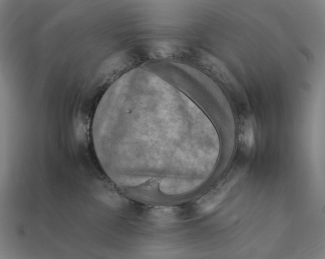 X0000112410332200909110955