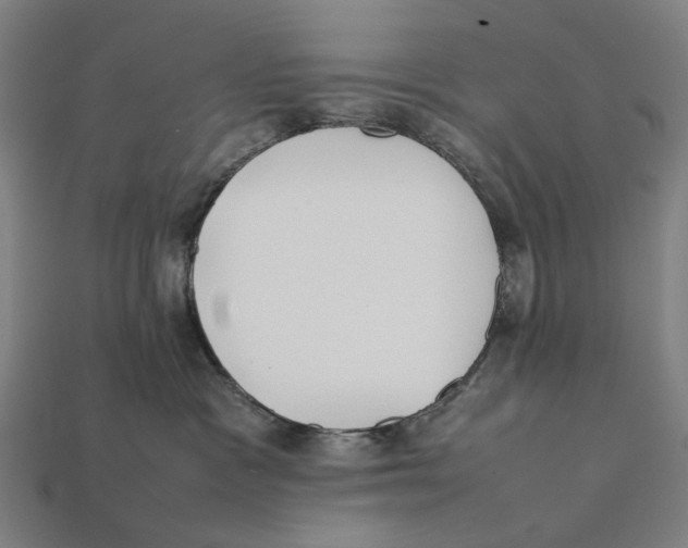 X0000112410333200909110955
