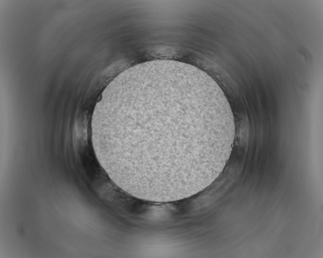 X0000112410334200909110955