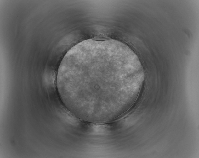 X0000112410336200909110955