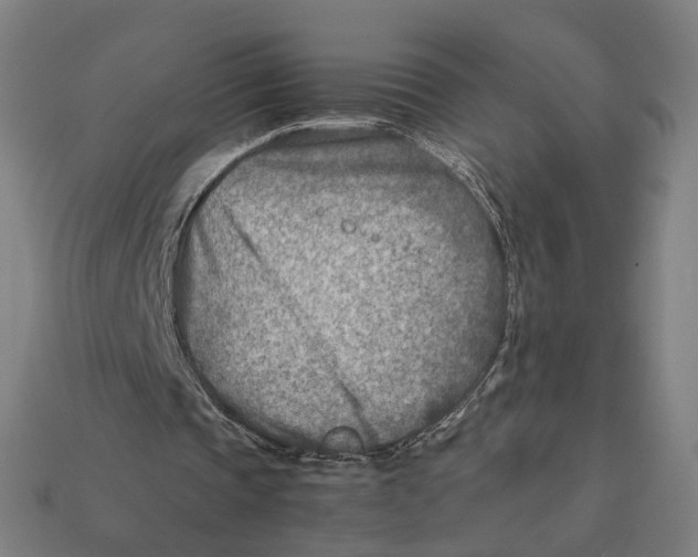 X0000112410337200909110954