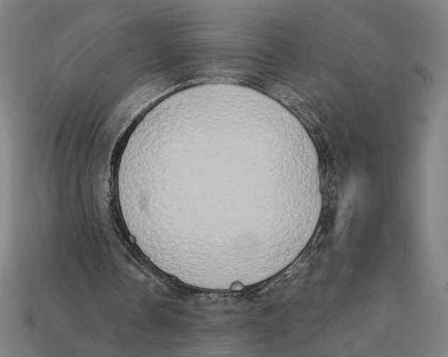 X0000112410338200909110954