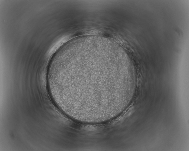X0000112410341200909110954