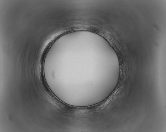 X0000112410342200909110954