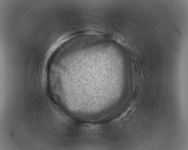 X0000112410343200909110954
