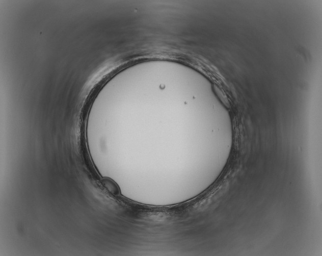 X0000112410344200909110954