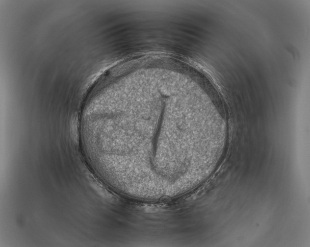 X0000112410345200909110954