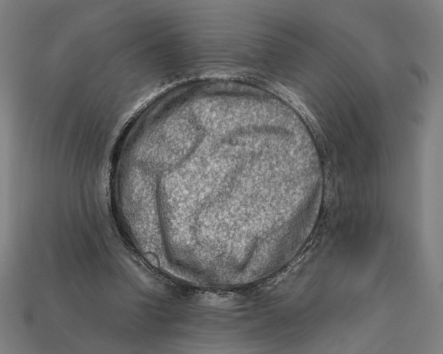 X0000112410346200909110954