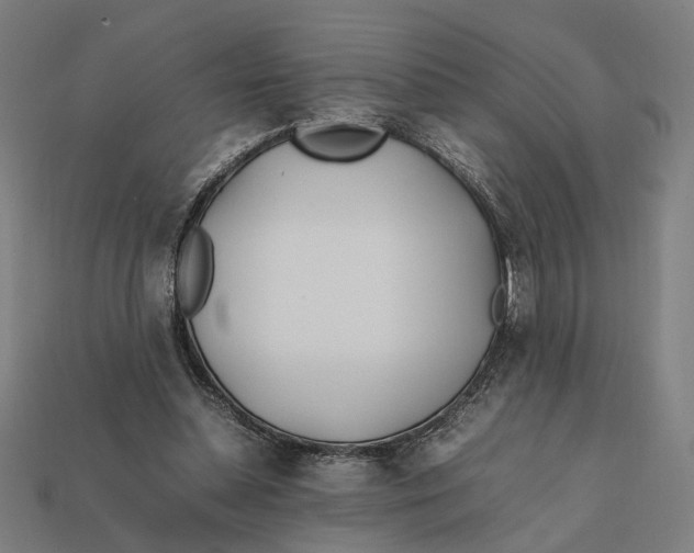X0000112410348200909110954