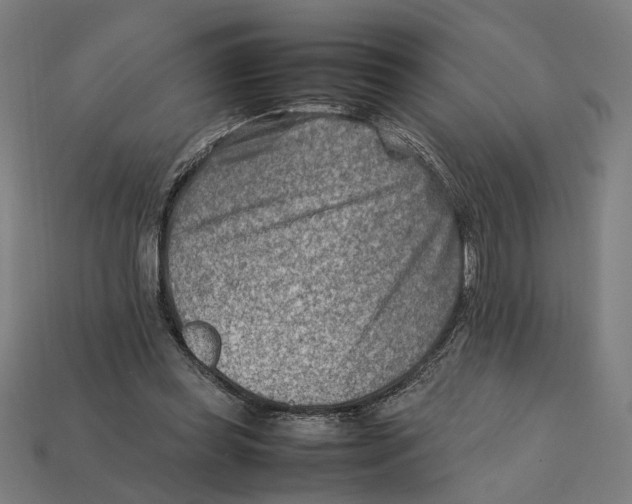 X0000112410349200909110954