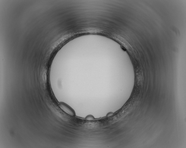 X0000112410350200909110954