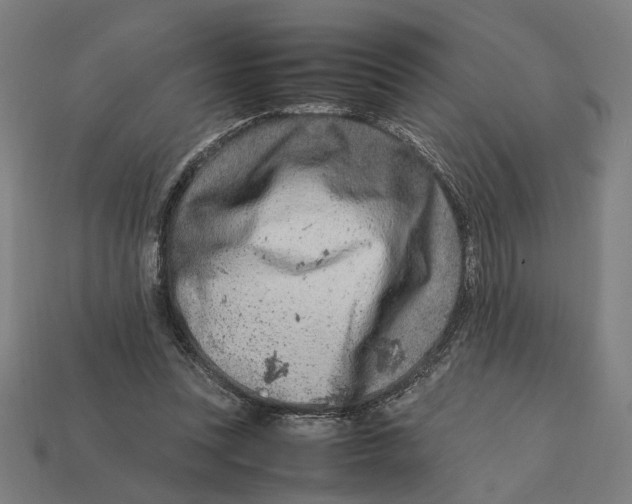 X0000112410351200909110954
