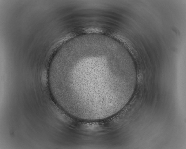 X0000112410353200909110954