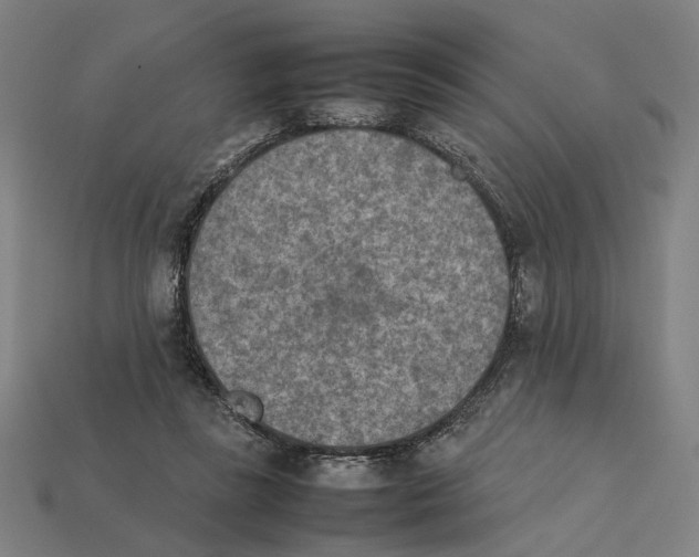 X0000112410355200909110954