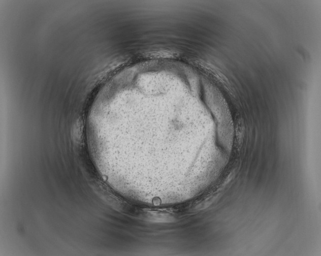 X0000112410359200909110954