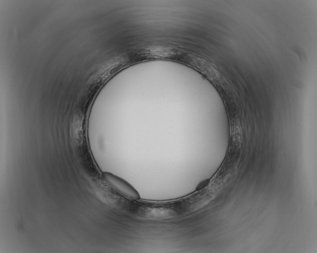 X0000112410360200909110954
