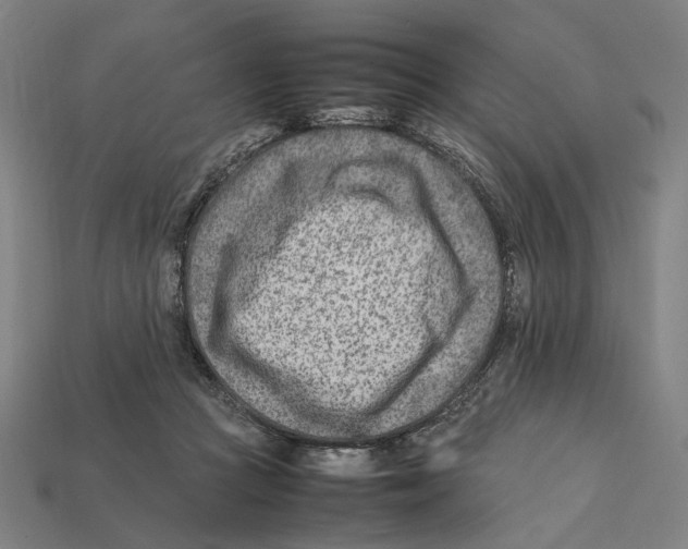 X0000112410361200909110954