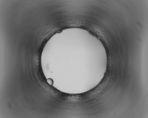 X0000112410362200909110955