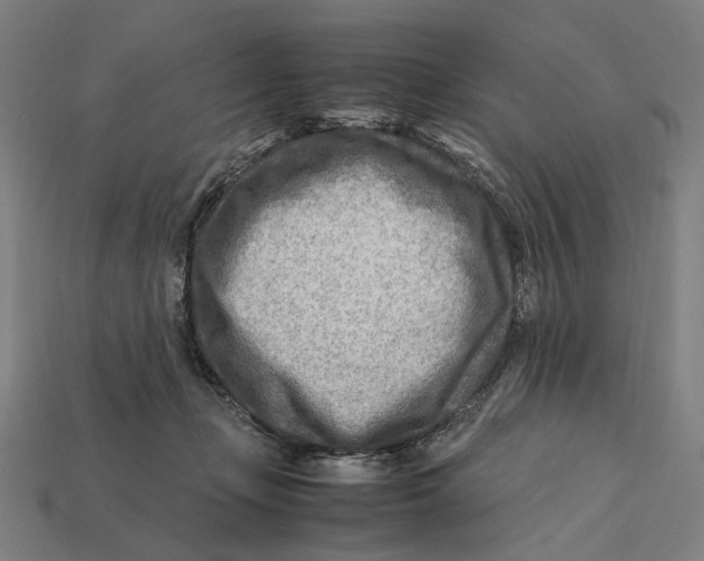 X0000112410365200909110955