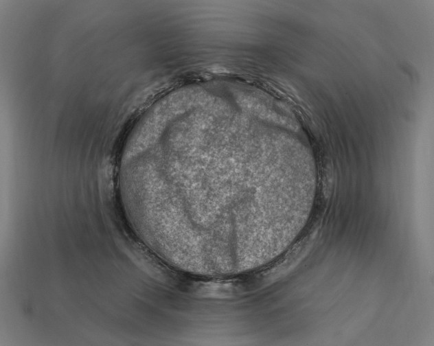 X0000112410366200909110955
