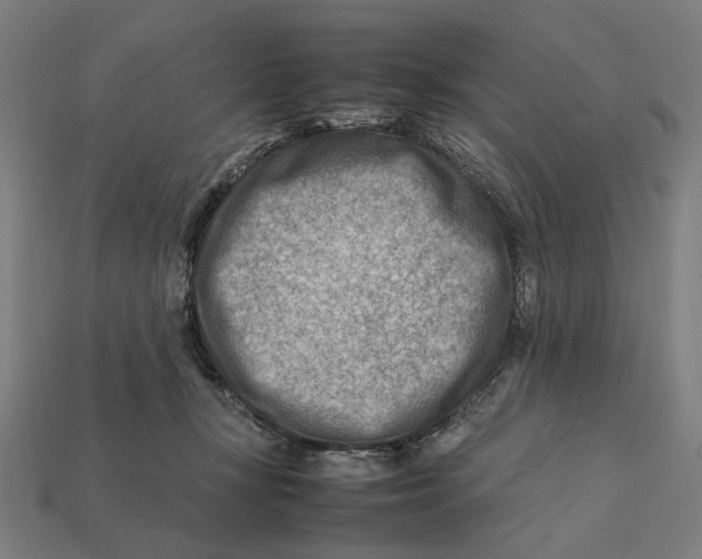 X0000112410367200909110955
