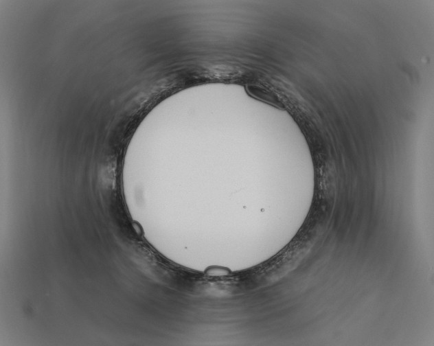 X0000112410368200909110955