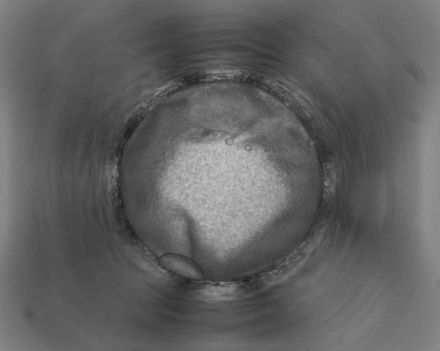 X0000112410369200909110955