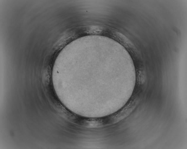 X0000112410370200909110955