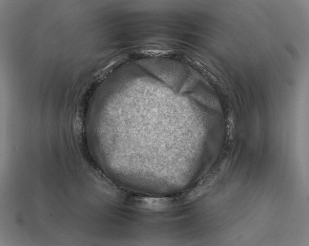 X0000112410371200909110955
