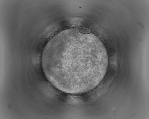 X0000112410372200909110955
